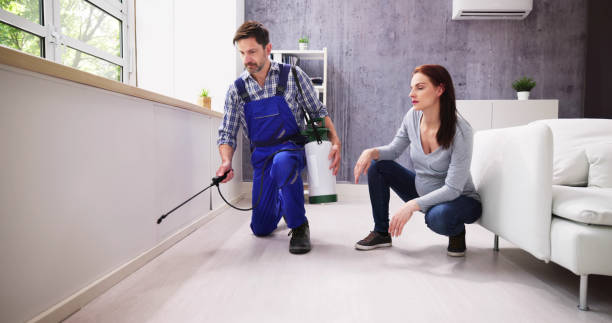 Best Real Estate Pest Inspections  in Bangor, MI